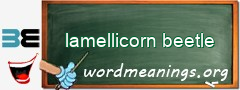 WordMeaning blackboard for lamellicorn beetle
